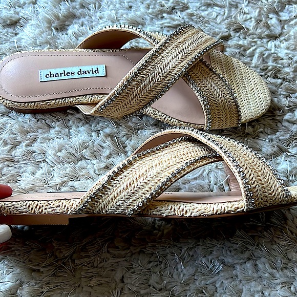 Charles David KENYA Woven w/Crystal Slide Sandals- NWT SIZE 9 - Picture 6 of 11